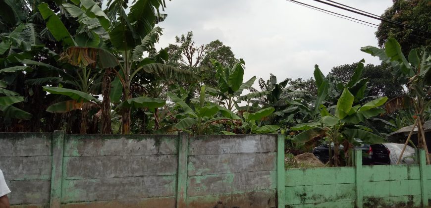 Dijual Tanah 1.6 Ha
