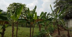 DIJUAL TANAH CIBUBUR LUAS 1.8 ha