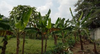 DIJUAL TANAH CIBUBUR LUAS 1.8 ha