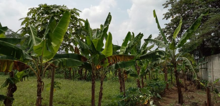 DIJUAL TANAH CIBUBUR LUAS 1.8 ha
