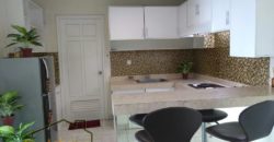 Apartemen Lyon Garden Moi Kelapa Gading Fully Furnish View Bagus