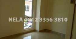 Disewakan Rumah SCIENTIA GARDEN Cluster Thomson