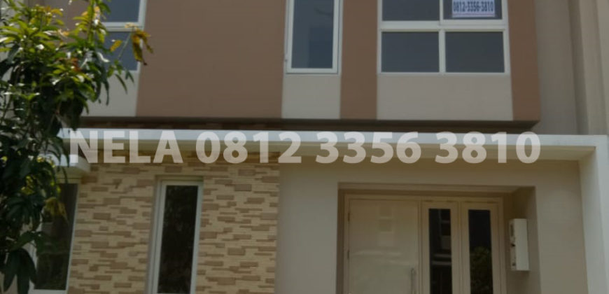 Disewakan Rumah SCIENTIA GARDEN Cluster Thomson