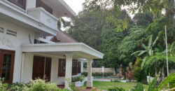 Disewakan Rumah di Menteng Semi Furnish ada Kolam Renang