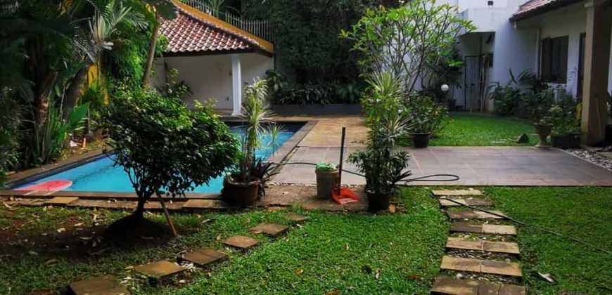 Beautiful House