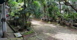 Tanah dan Rumah Tua Senen, Jakarta Pusat