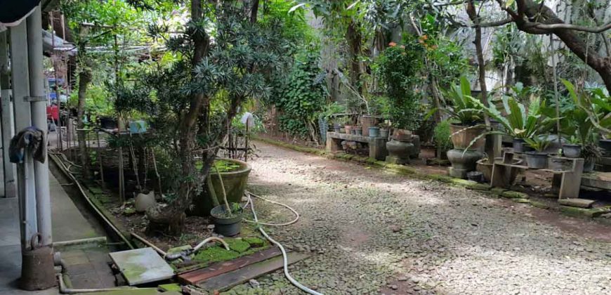 Tanah dan Rumah Tua Senen, Jakarta Pusat