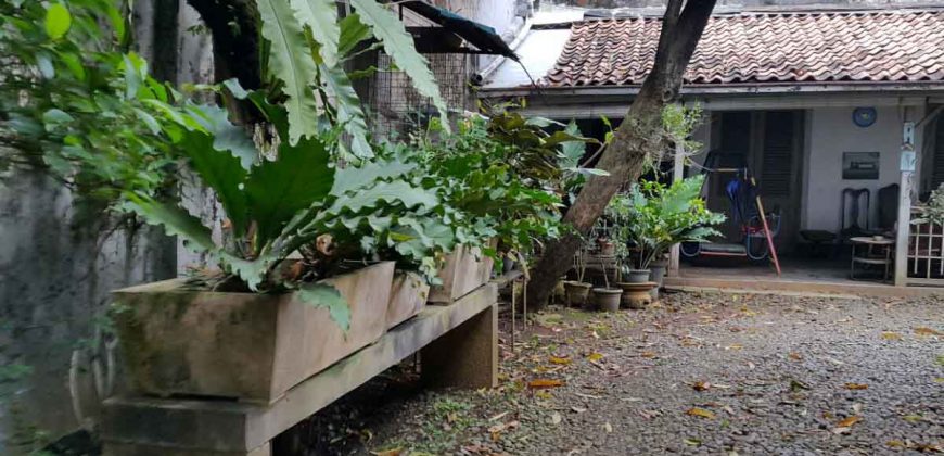 Tanah dan Rumah Tua Senen, Jakarta Pusat
