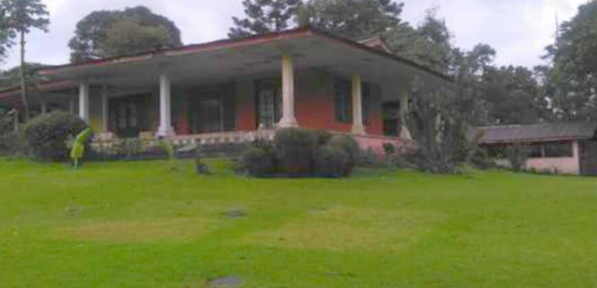 Villa Cisarua Puncak Bogor