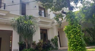 Beautiful Tropical House