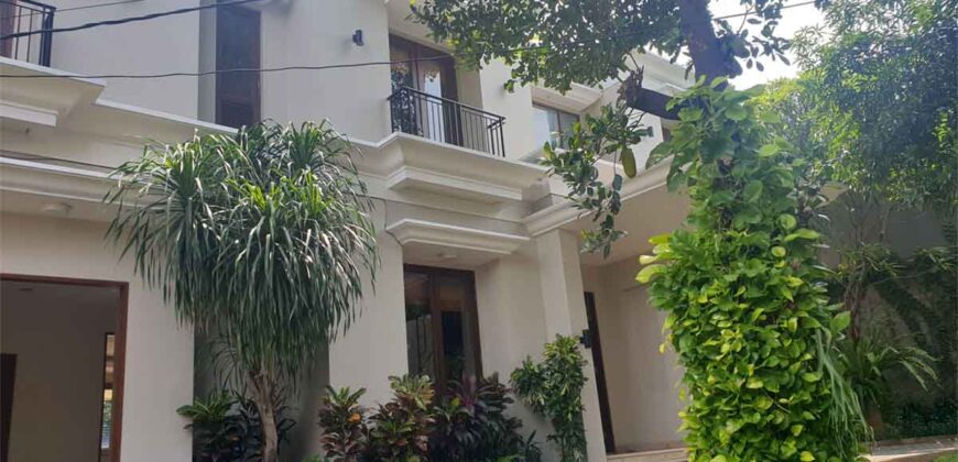 Beautiful Tropical House