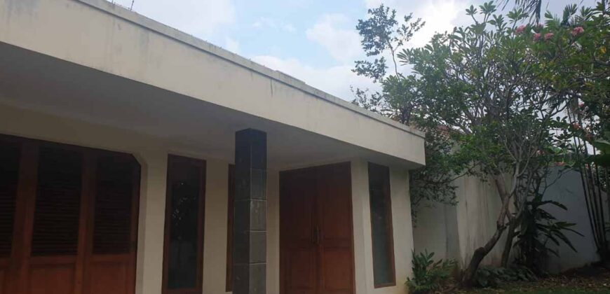 Tropical modern house at kemang