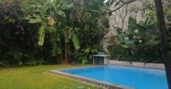 Tropical modern house at kemang