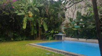 Tropical modern house at kemang