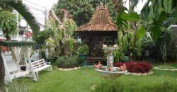 Rumah Mewah di Tebet Ada Taman Bermain