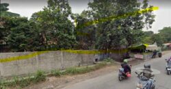 Dijual Tanah Pangkalan Jati Cinere Depok