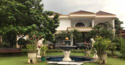 Rumah Mewah di Lingkungan Pedesaan