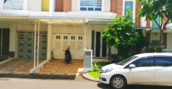 Disewakan Rumah Cluster Flaminggo Sumarecon Serpong