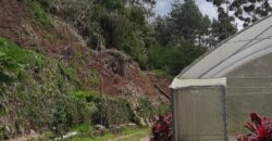 Dijual Tanah lokasi di lembang Bandung