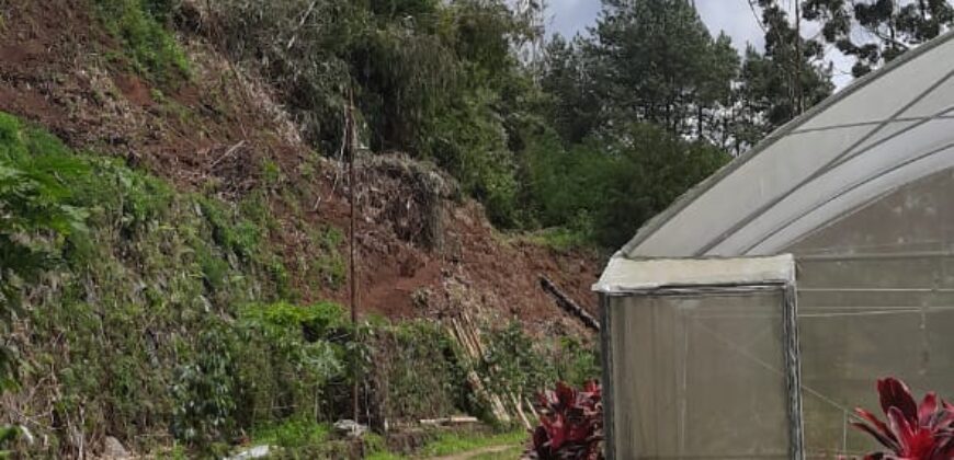 Dijual Tanah lokasi di lembang Bandung