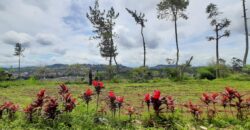 Dijual Tanah lokasi di lembang Bandung