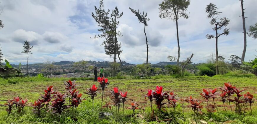 Dijual Tanah lokasi di lembang Bandung