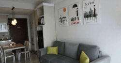 Apartment The Aspen Fully Furnished