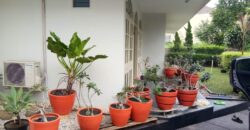 Rumah Lokasi Strategis di dalam Komplek Kemang Timur