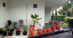 Rumah Lokasi Strategis di dalam Komplek Kemang Timur