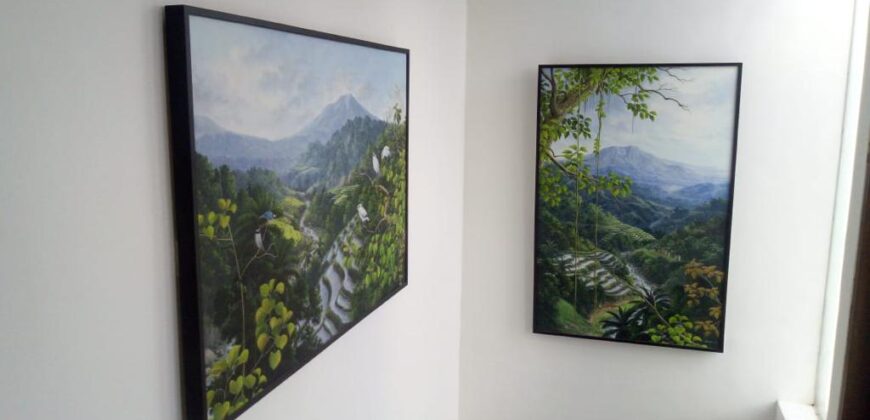 Rumah Baru Umalas Bali