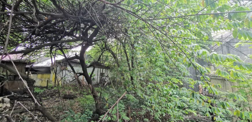 Dijual Tanah jl puri mutiara raya