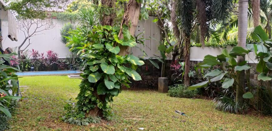 Modern House inside Secured Compound Pejaten Barat