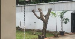 Disewakan Rumah 1 Lantai di Kemang Selatan, Jakarta Selatan