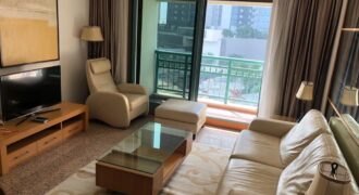 Pavilion Apartment Ready fully furnished