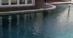 Disewakan Rumah Kebayoran Baru
