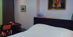 DISEWAKAN APARTEMEN RESIDENCE 8 SCBD LOKASI DEKAT SUDIRMAN