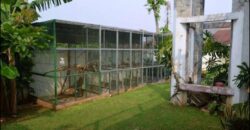 RUMAH MEWAH DI KAWASAN CINERE