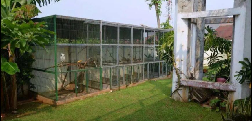 RUMAH MEWAH DI KAWASAN CINERE