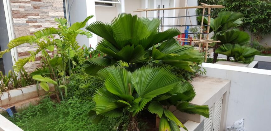 Dijual Rumah Townbouse di Sherwood Kelapa Gading