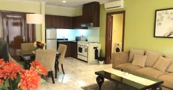 Menteng Regency Apartment Deluxe 1 Bedroom Full Furnished