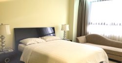 Menteng Regency Apartment Deluxe 1 Bedroom Full Furnished
