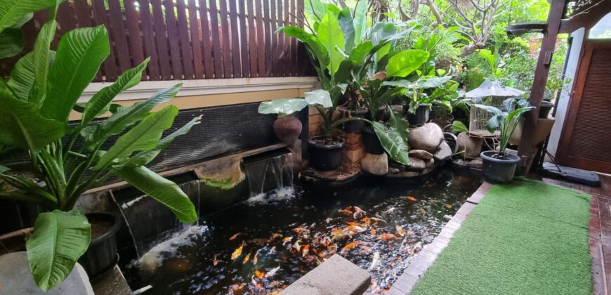 Dijual Rumah Etnik Mewah 3 Lantai dikawasan Sunter