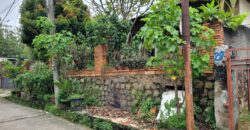 Dijual Rumah Klasik ada paviliun 2 lantai di Depok
