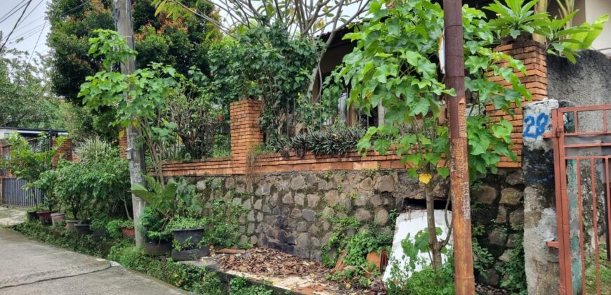 Dijual Rumah Klasik ada paviliun 2 lantai di Depok
