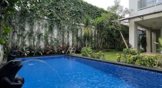 Bright Modern House Good Air Circulation