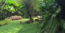 Rumah Dikawasan Exclusive Kebayoran Baru
