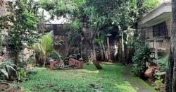 Dijual Tanah Luas Dapat Bonus Rumah