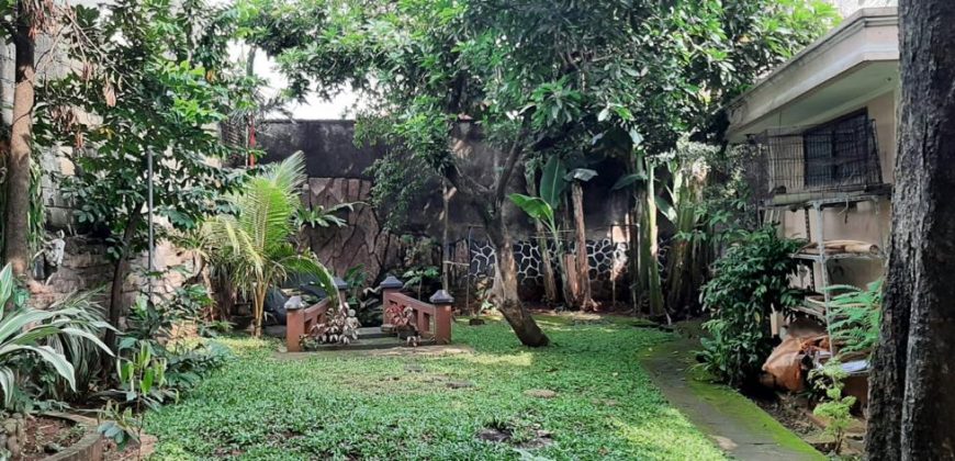Dijual Tanah Luas Dapat Bonus Rumah