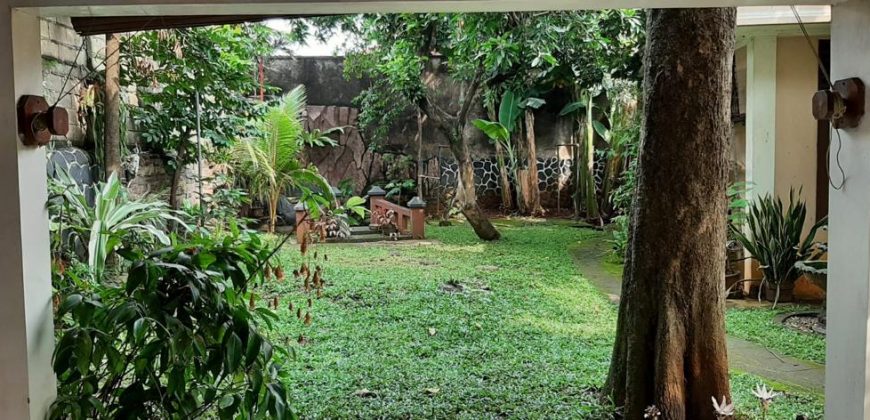 Dijual Tanah Luas Dapat Bonus Rumah