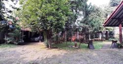 Dijual Tanah Luas Dapat Bonus Rumah